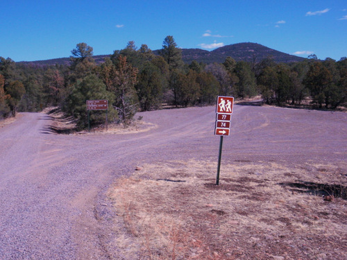 Continental Divide crossing #27, 7,300', GDMBR.